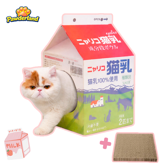 Milk-Carton Cat House for Modern Homes